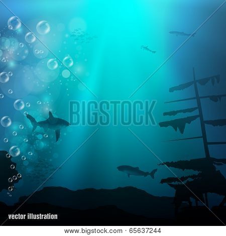 Beautiful and dangerous underwater world