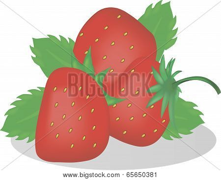 Ripe strawberries