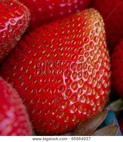 Close-up of strawberry