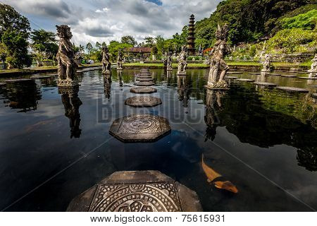 Aquatic Pathway