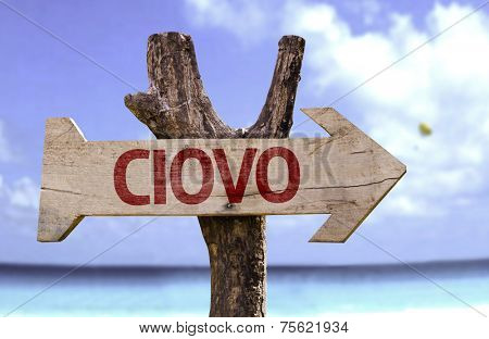 Ciovo wooden sign with a beach on background