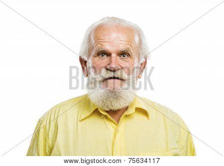 Old bearded man on white background