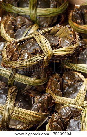 Group of Uncooked hairy crabs