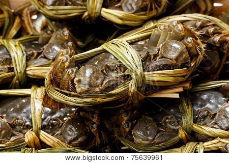 Chinese hairy crabs