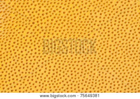 Surface