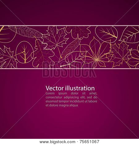 Vector Of Autumn Colorful Leaves.