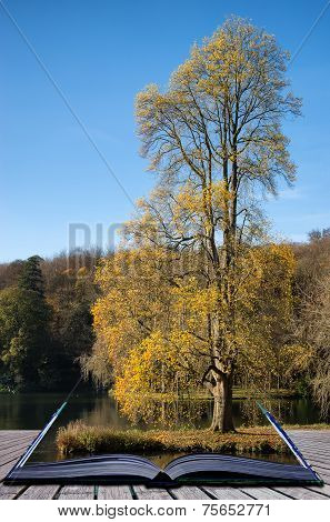 Trees And Main Lake In Stourhead Gardens During Autumn Conceptual Book Image