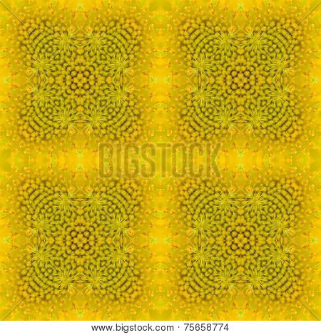 Sunflower Background