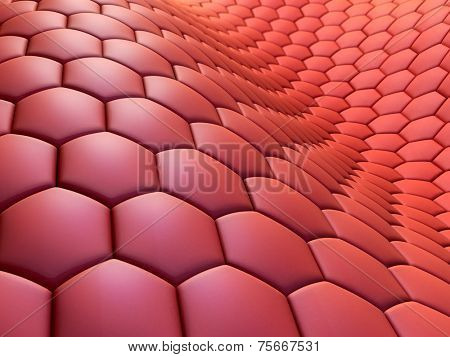 cells