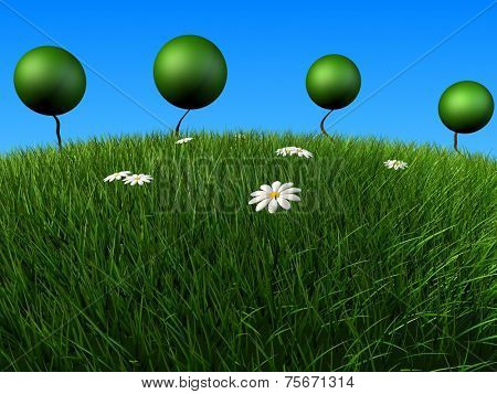 toony hill
