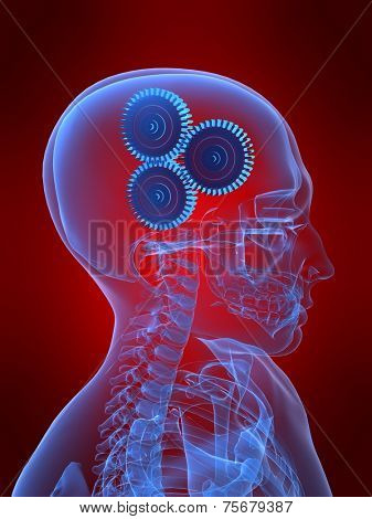 head with gears