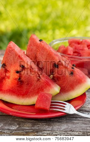 Watermelon Pieces