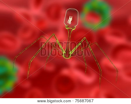 bacteriophage