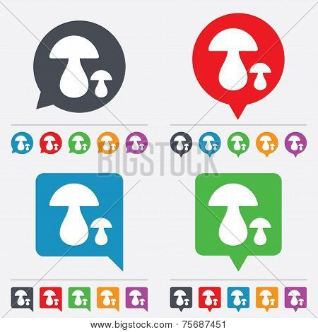 Mushroom sign icon. Boletus mushroom symbol.