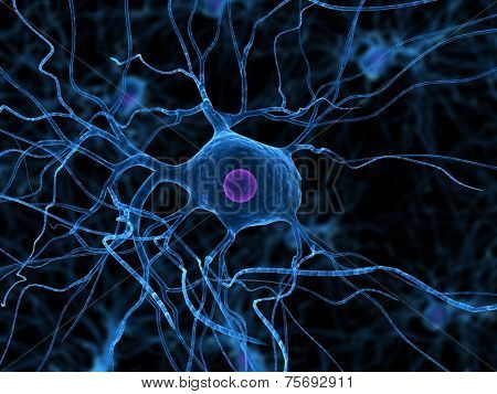 nerve cell