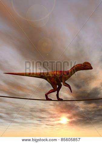 Concept or conceptual abstract business metaphor as wild heavy dinosaurus balancing on rope over sunset sky background