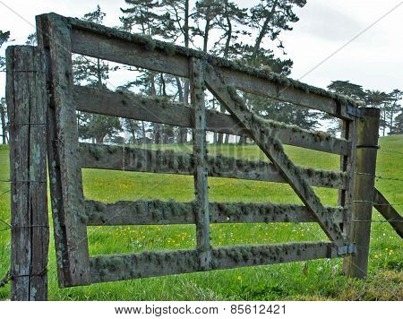 Farm gate