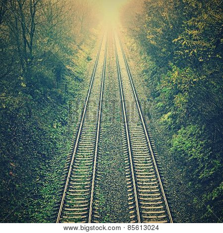 Train tracks with the natural landscape and sunset