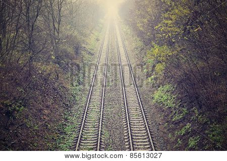 Train tracks with the natural landscape and sunset