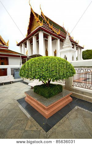 Pavement Gold    Temple   In   Bangkok  Thailand Incision Of The Plant