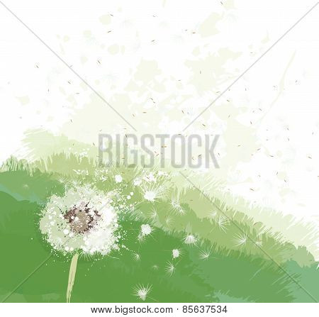 Vector White Dandelion On Spring Background.