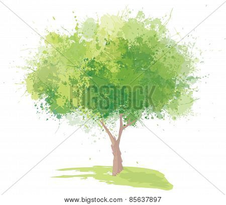 Vector Green Tree Isolated.