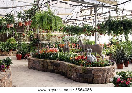 Flowers In A Flower Shop