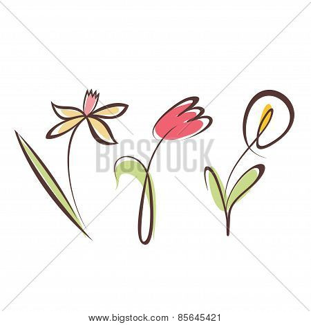 Outlined Hand Drawn Flower Collection, Design Elements Set