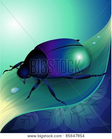 Vector illustration of blue beetle on her