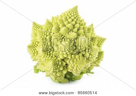 Romanesco Broccoli Vegetable Isolated On White Background