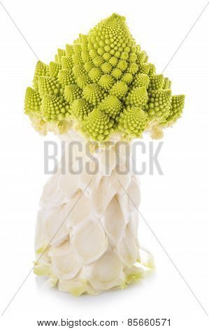 Romanesco Broccoli Vegetable Isolated On White Background