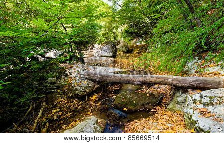 Bridge in canyon.