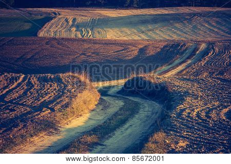 Vintage Photo Of Sandy Rural Road And Plowed Fields