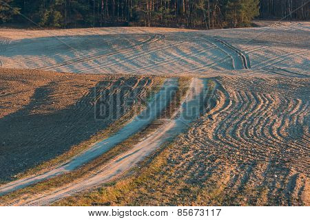 Sandy Rural Road And Plowed Fields