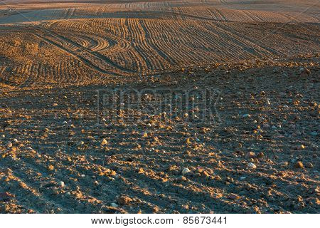 Plowed Field Landscape