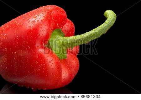 Studio Shot Of Red Bell Pepper Isolated On Black With Water Drop