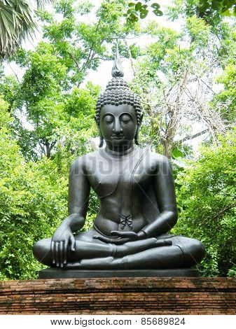Buddha statue in forest