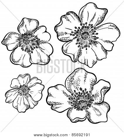 vector contour flowers illustration.