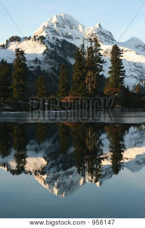 Vertical Mirror