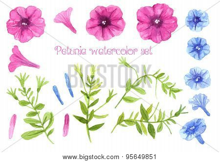 Petunia Watercolor Set