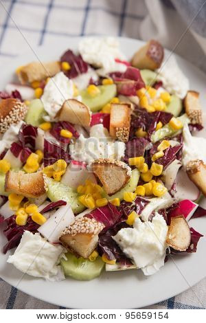 Mixed Summer Salad on a plate