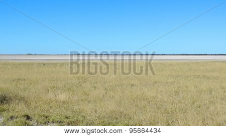 Makgadikgadi Pan