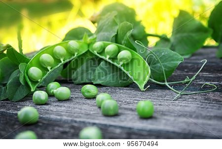 Peas on wooden background