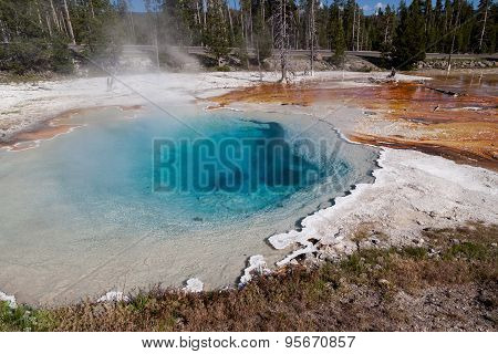 Yellowstone Thermal Pool