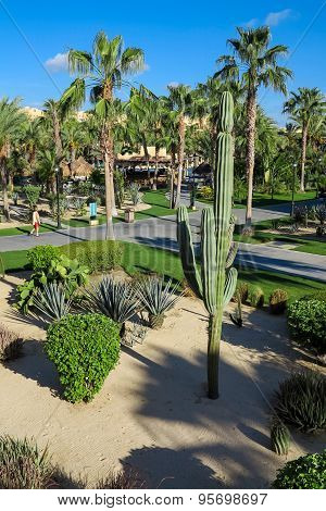 Riu Santa Fe Hotel At Cabo San Lucas, Mexico