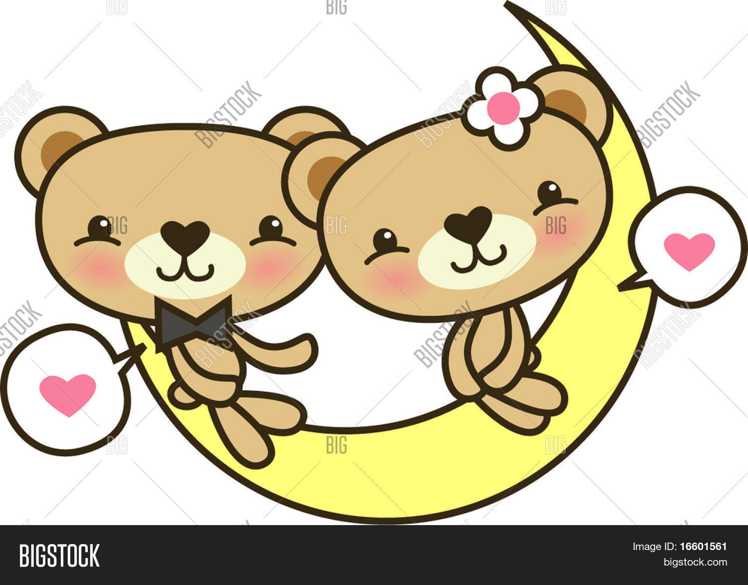 Image Preview