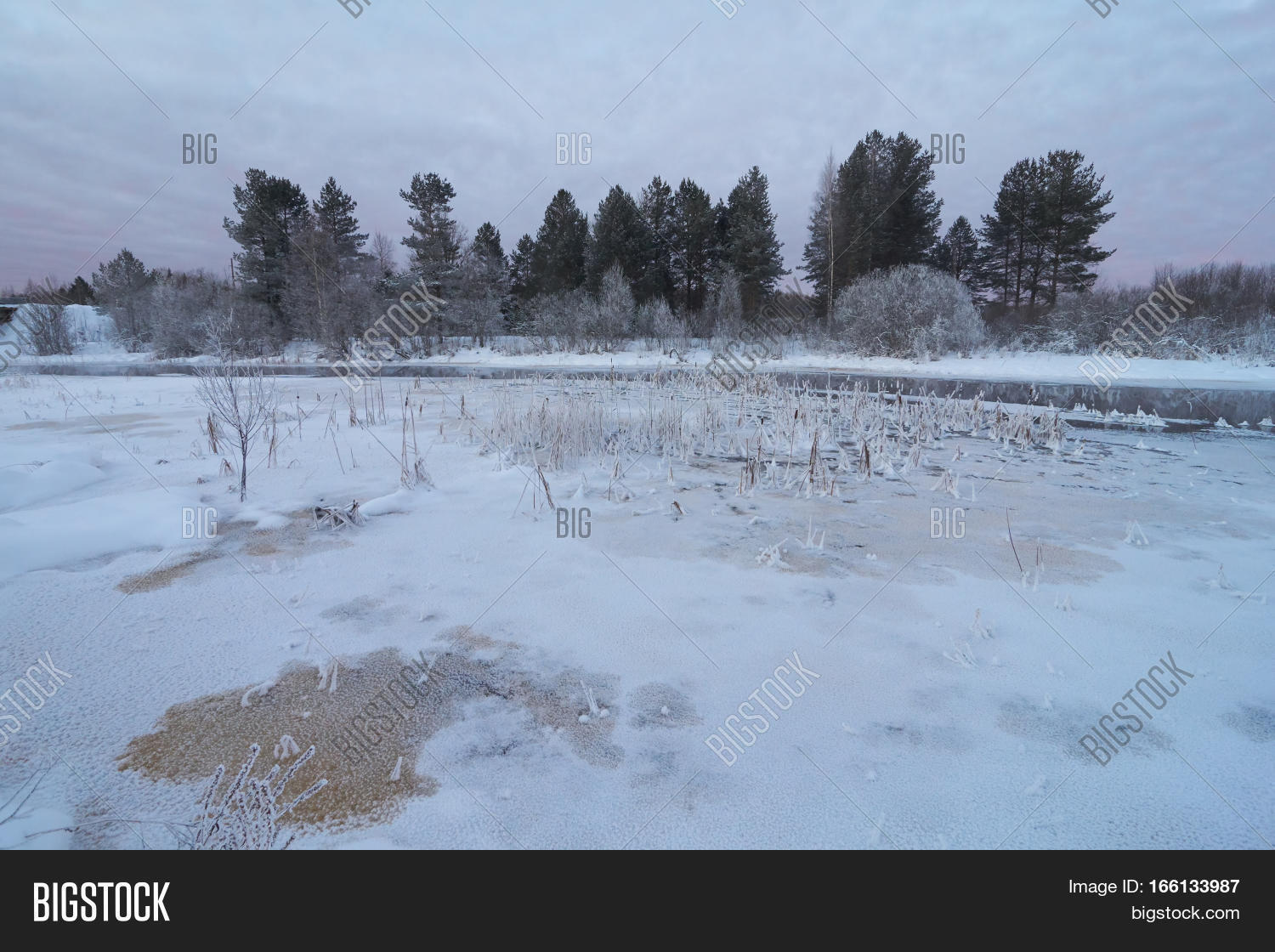 Image Preview