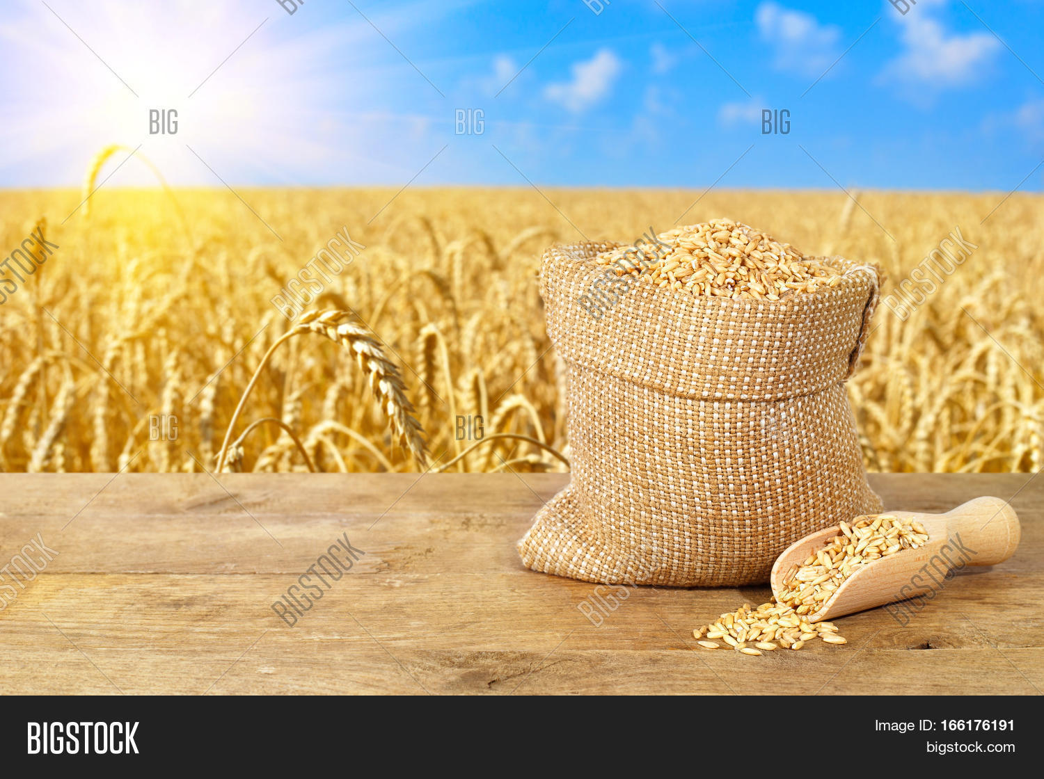 Wheat Grain Bag
