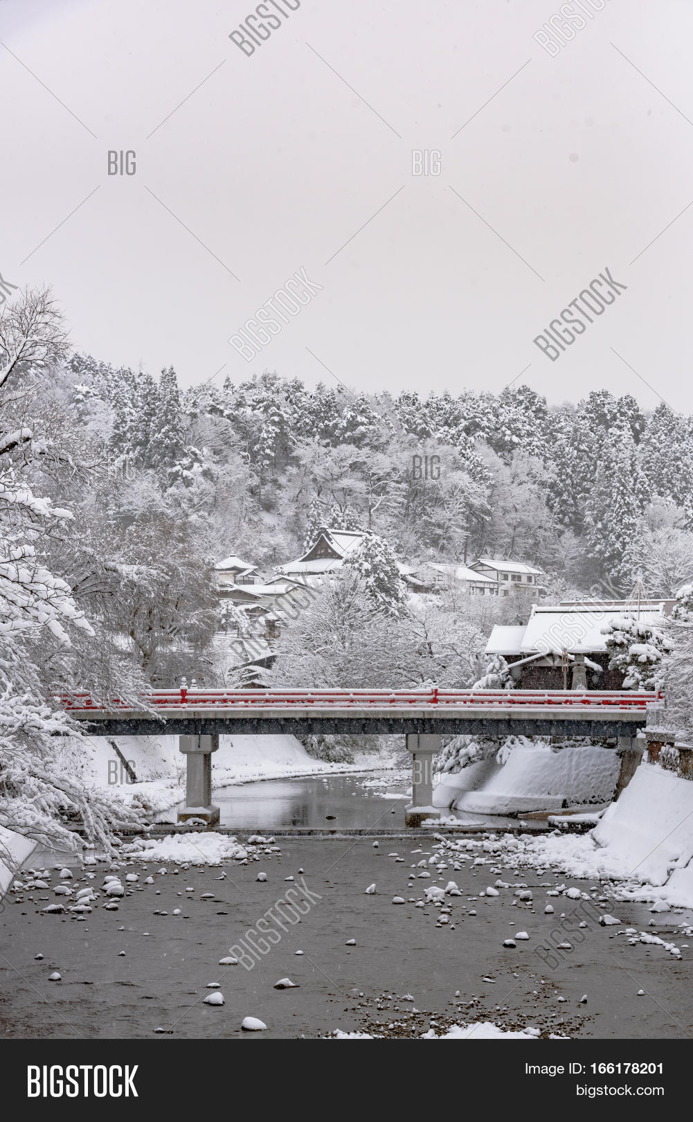 Image Preview