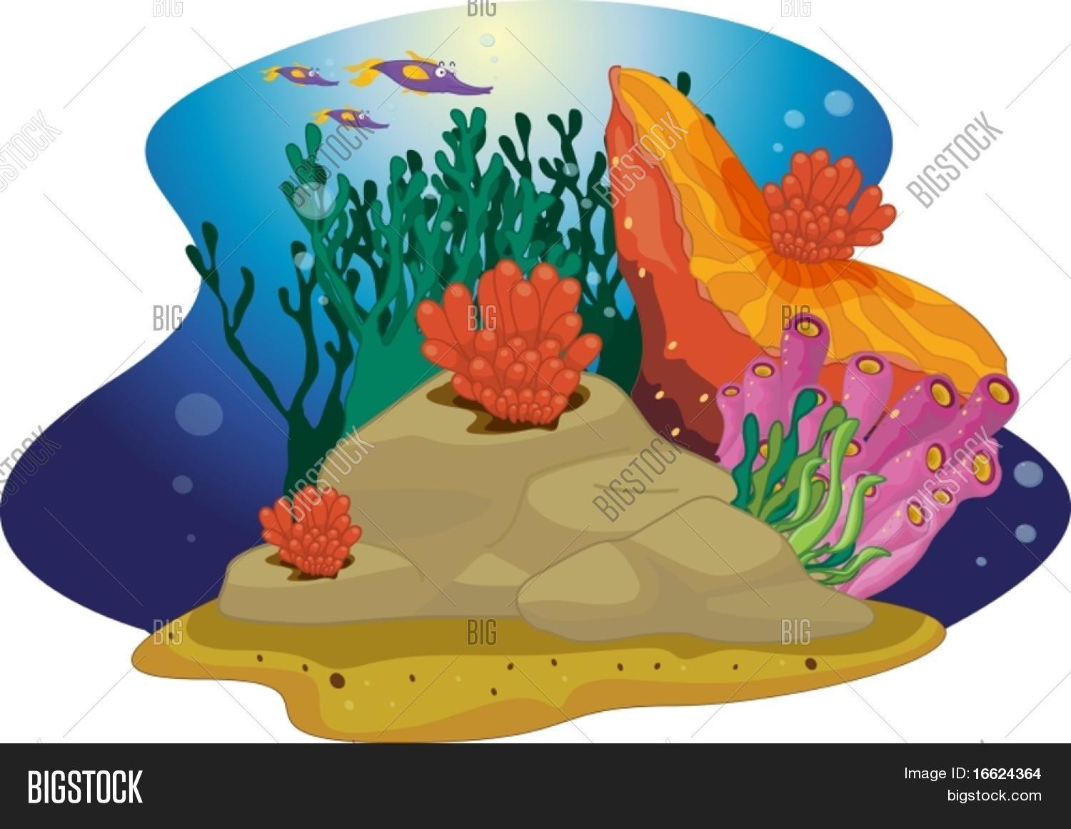Coral Reef Cartoon Illustration Vector & Photo Bigstock